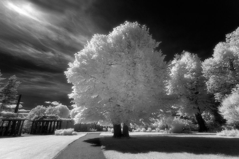 Photograph by Юрий Столыпин