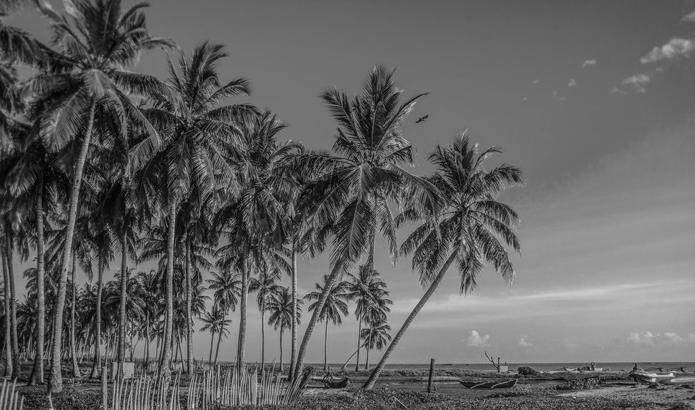 Photograph by Faris Amanullah