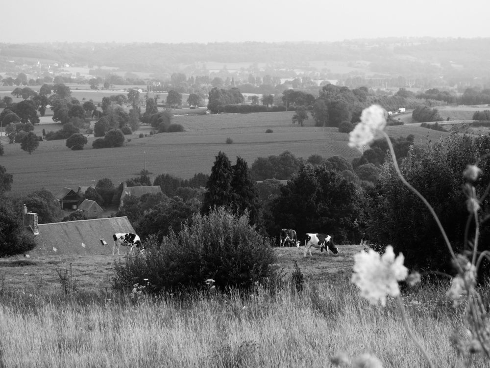 Photograph by Василий Селиванов