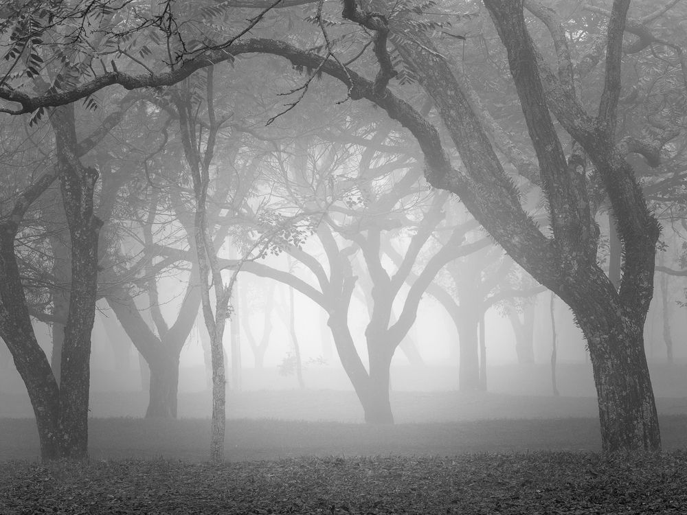 Photograph by Valdir Hobus