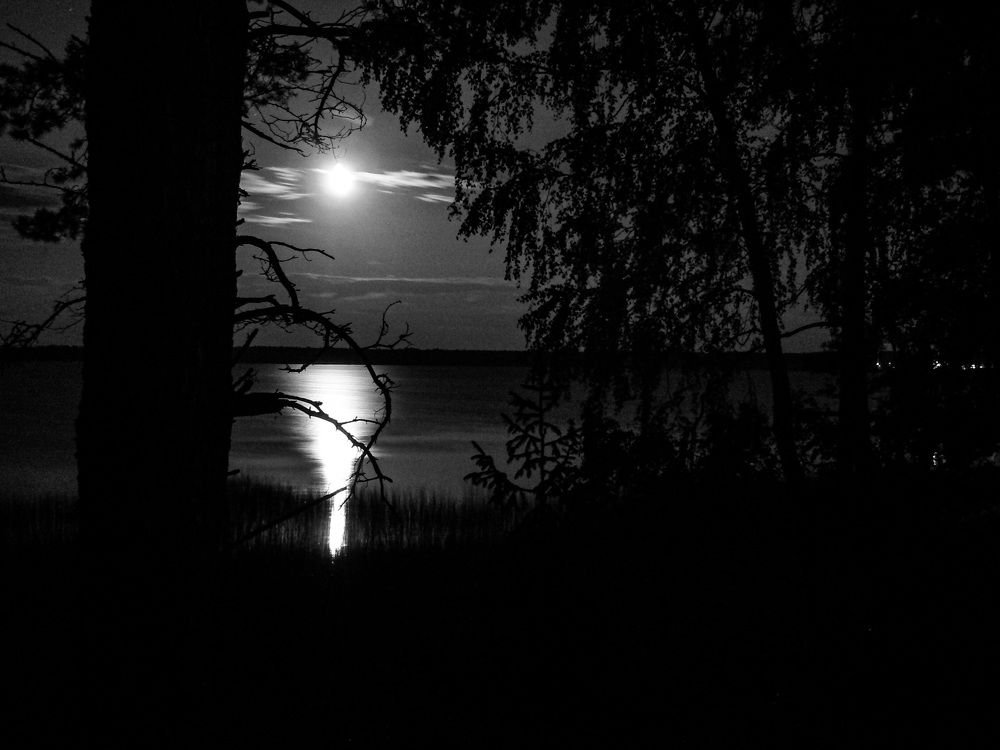 Photograph by Алексей Борисов