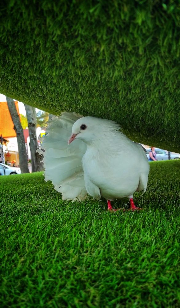 Photograph by Наталья Рау