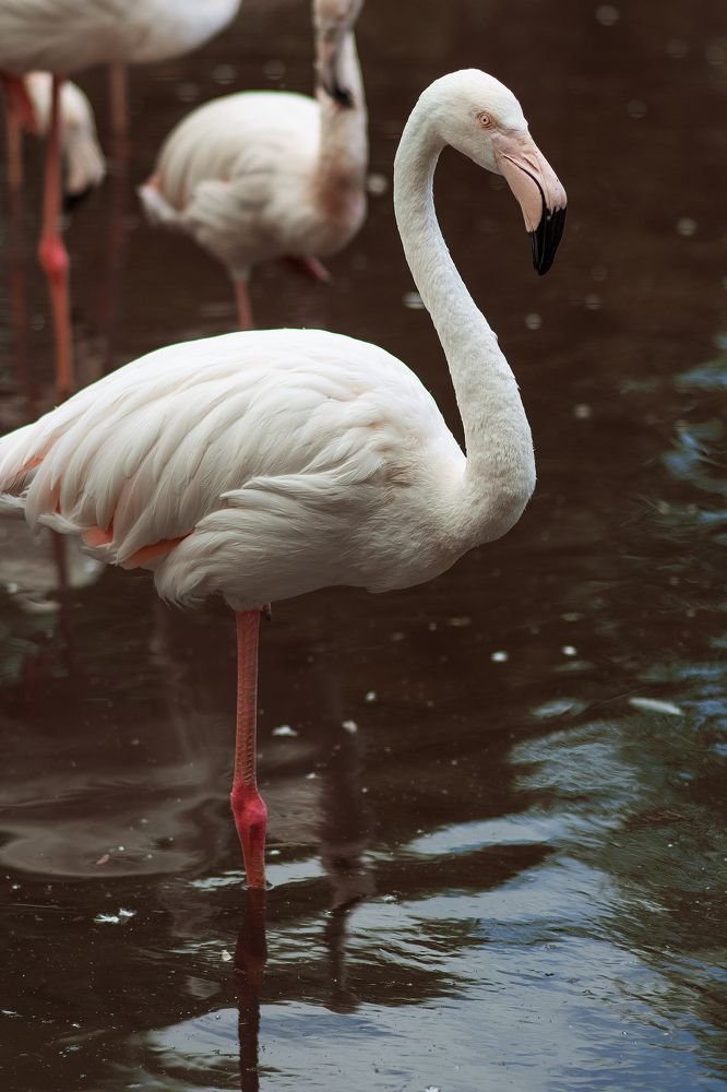 Photograph by Наталья Золотарева