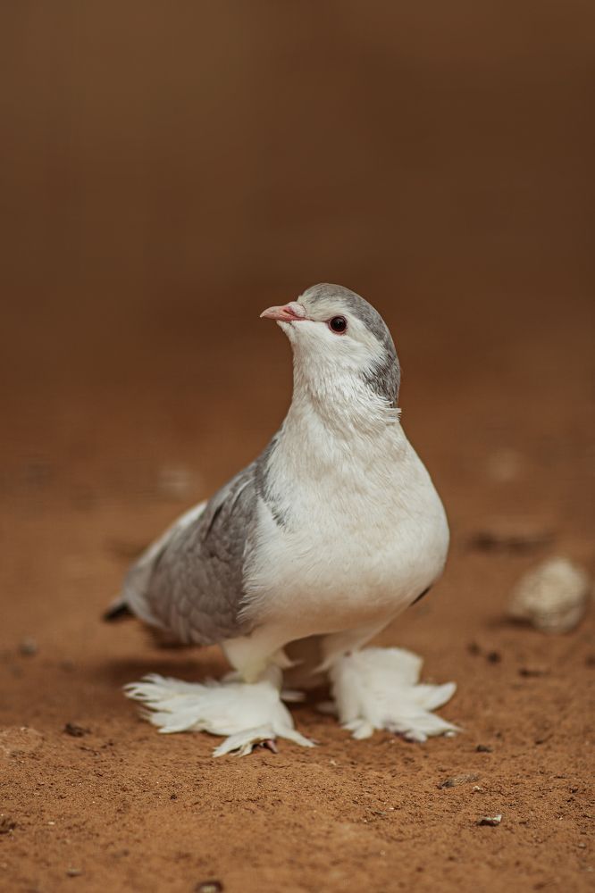 Photograph by Наталья Золотарева