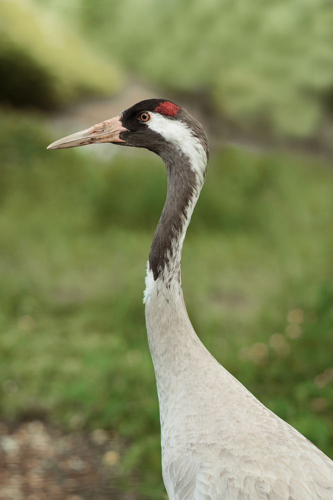 Photograph by Наталья Золотарева