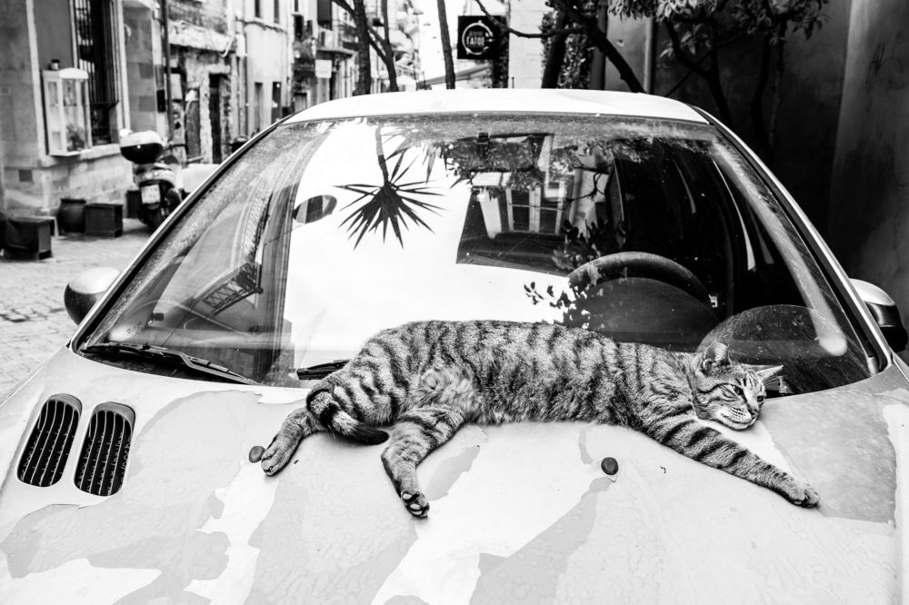 Photograph by Ania Wojciechowska