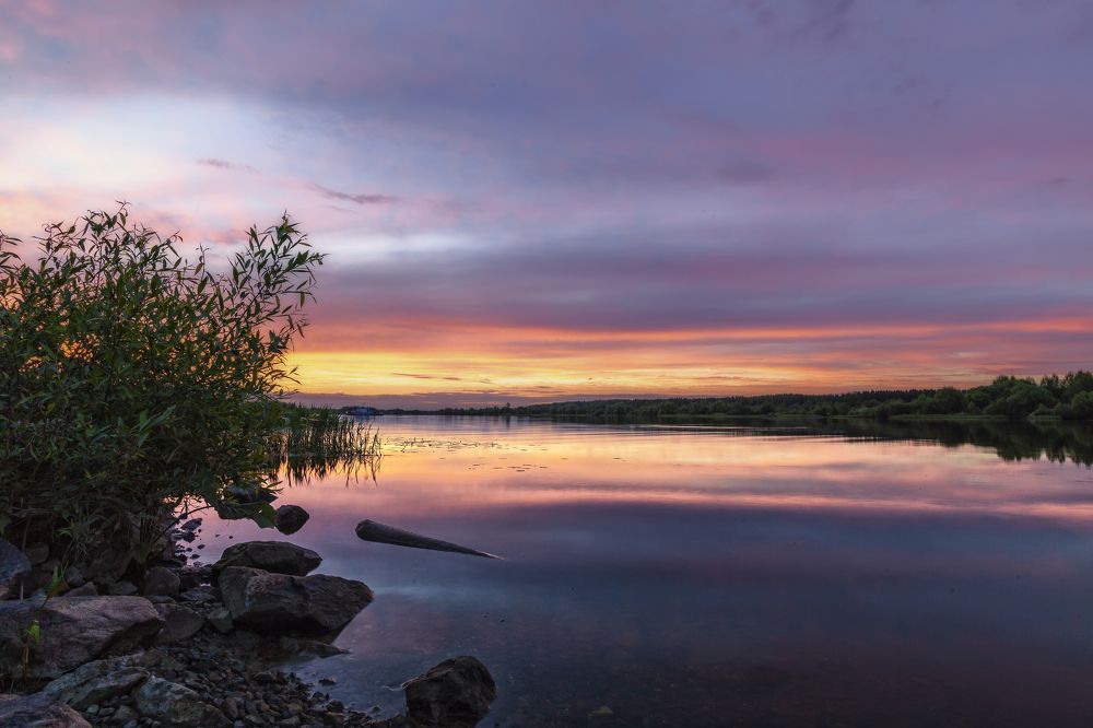 Photograph by Владимир Портуаров