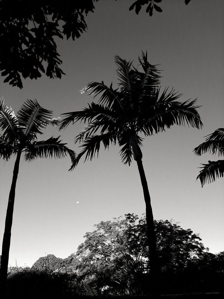 Photograph by Natan Marques