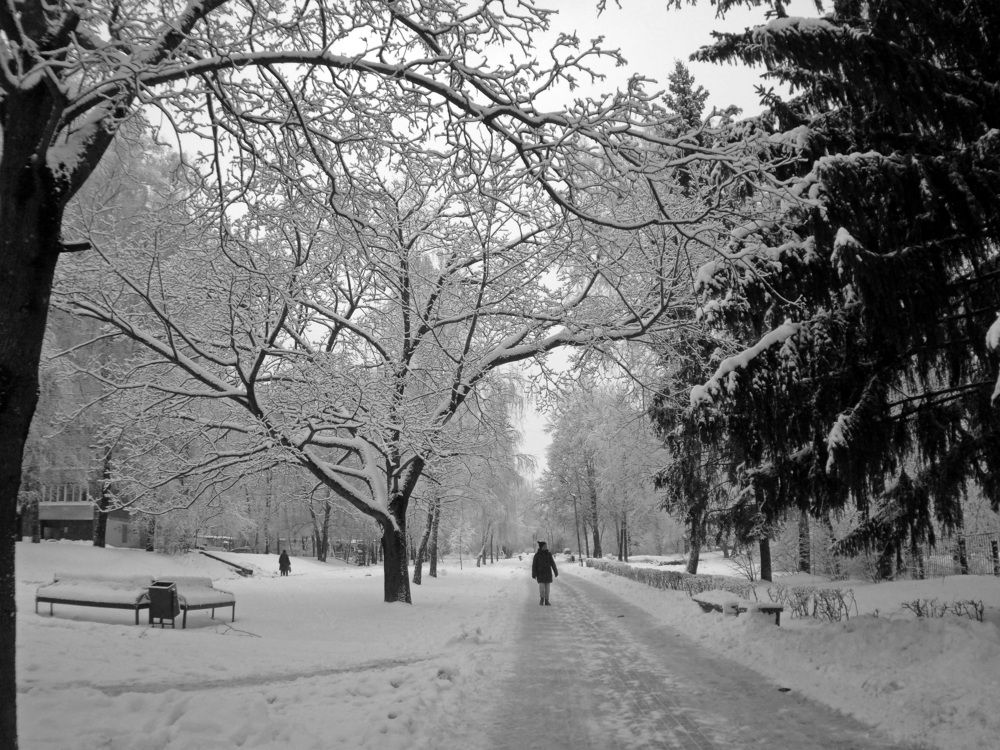 Photograph by Андрей Михайлин