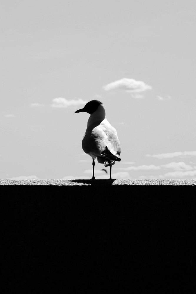 Фотография автора Варвара