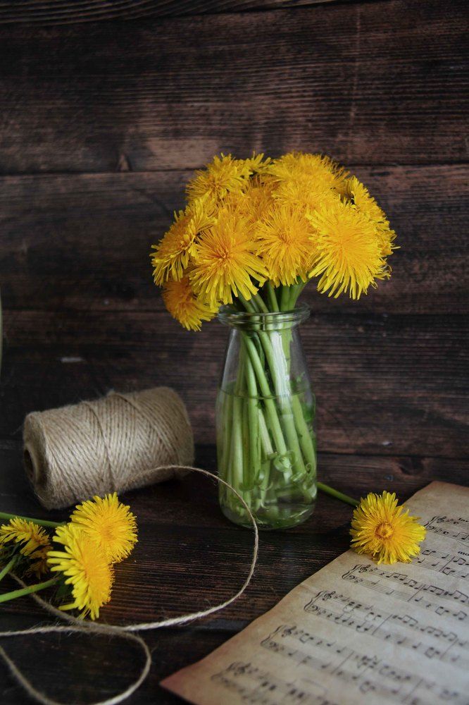 Photograph by Мария Королькова