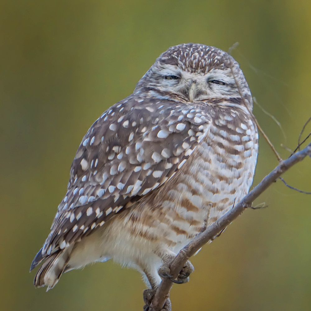 Photograph by Karina Elena Bergagna