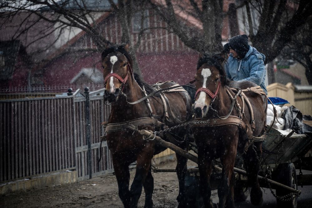 Photograph by Наталья Пирогова