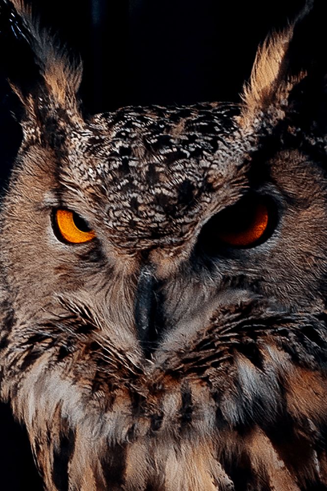 Photograph by Julia Moiseenko