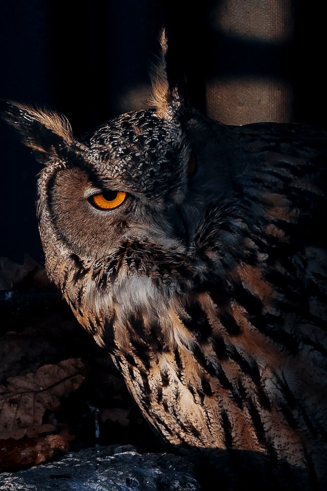 Photograph by Julia Moiseenko