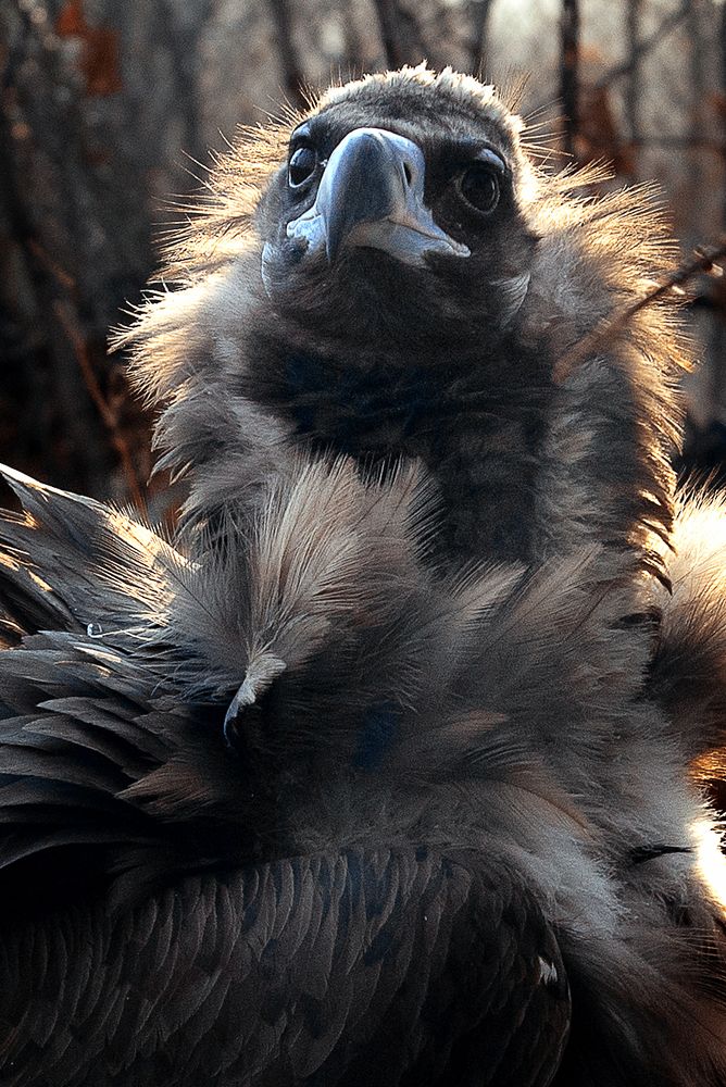 Photograph by Julia Moiseenko