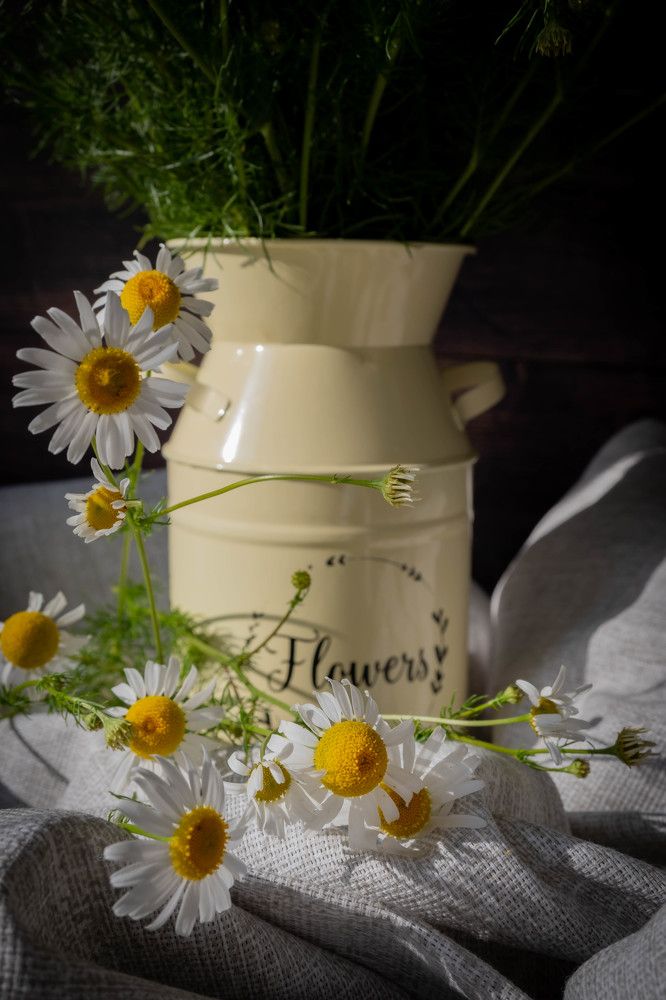 Фотография автора Оксана Белозерская