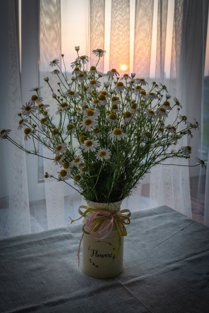 Фотография автора Оксана Белозерская