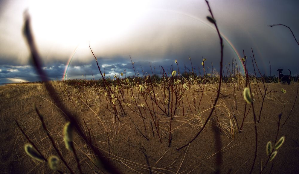 Фотография автора Ruslans Godlevskis