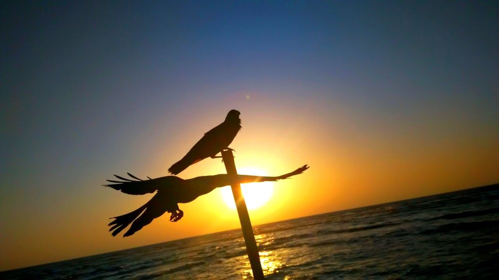 Photograph by Trip Yulian