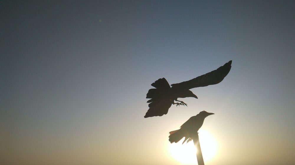 Photograph by Trip Yulian