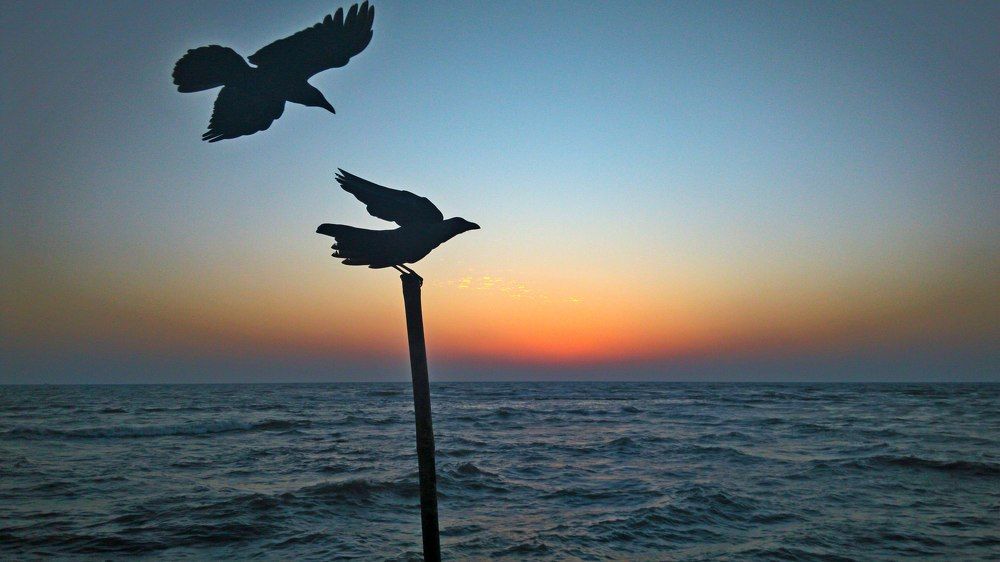 Photograph by Trip Yulian