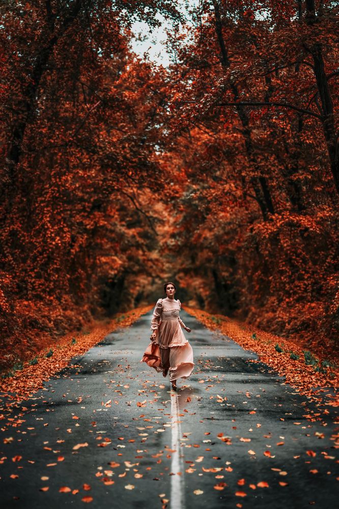 Photograph by mohammad naseri