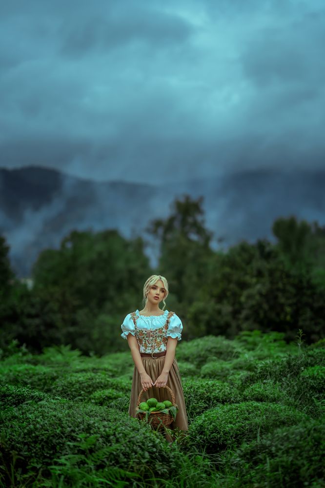 Photograph by mohammad naseri