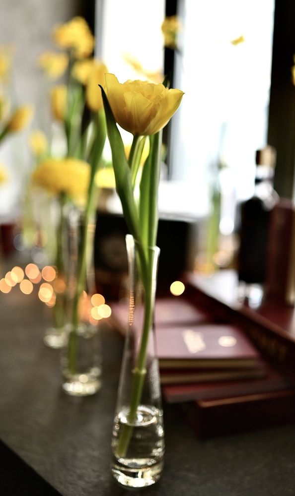 Желтые тюльпаны