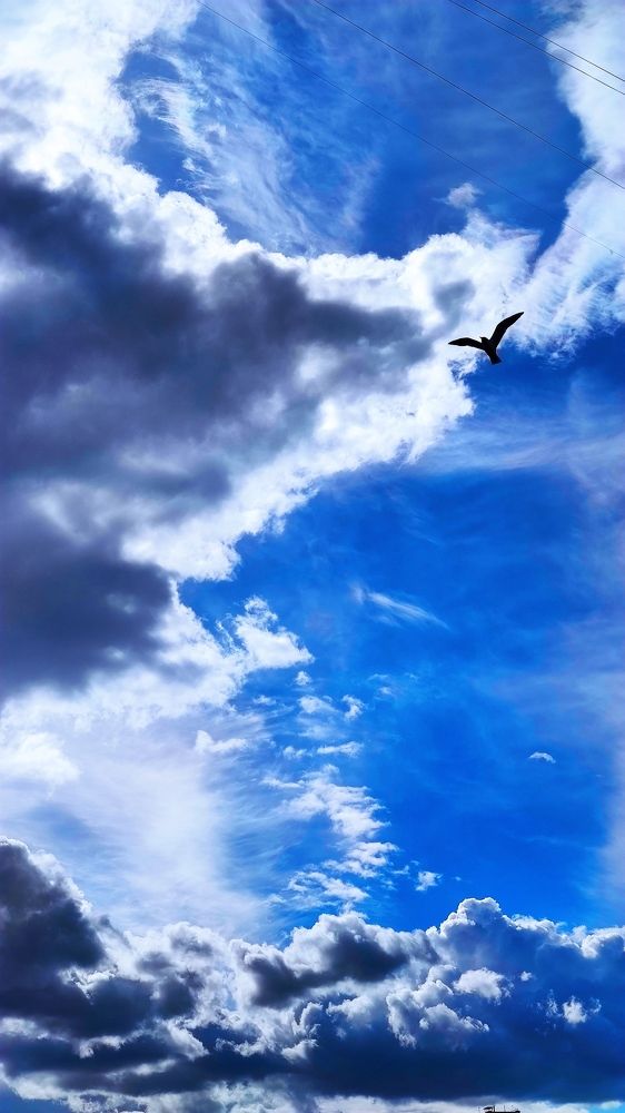 Photograph by Trip Yulian