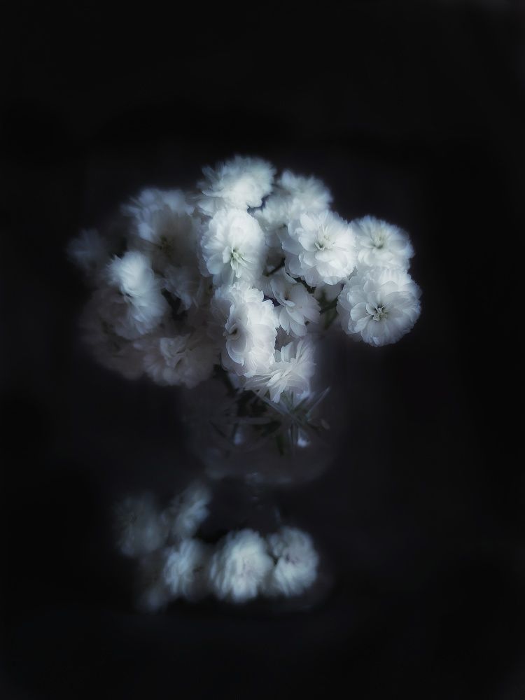 Photograph by Анастасия Дубинина