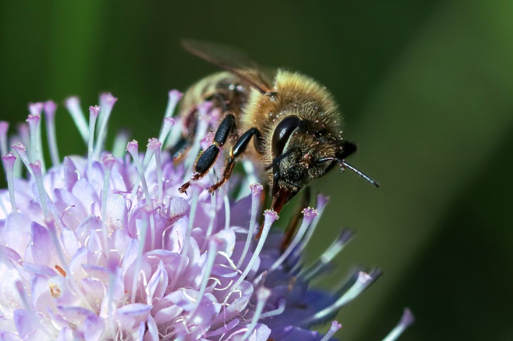 Photograph by Gregor Kobilica