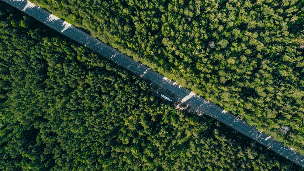 Photograph by Денис Бочаров