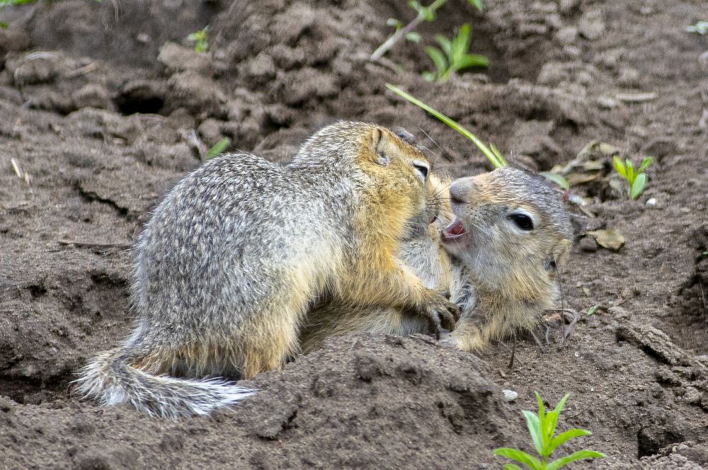 Photograph by Владимир Маер