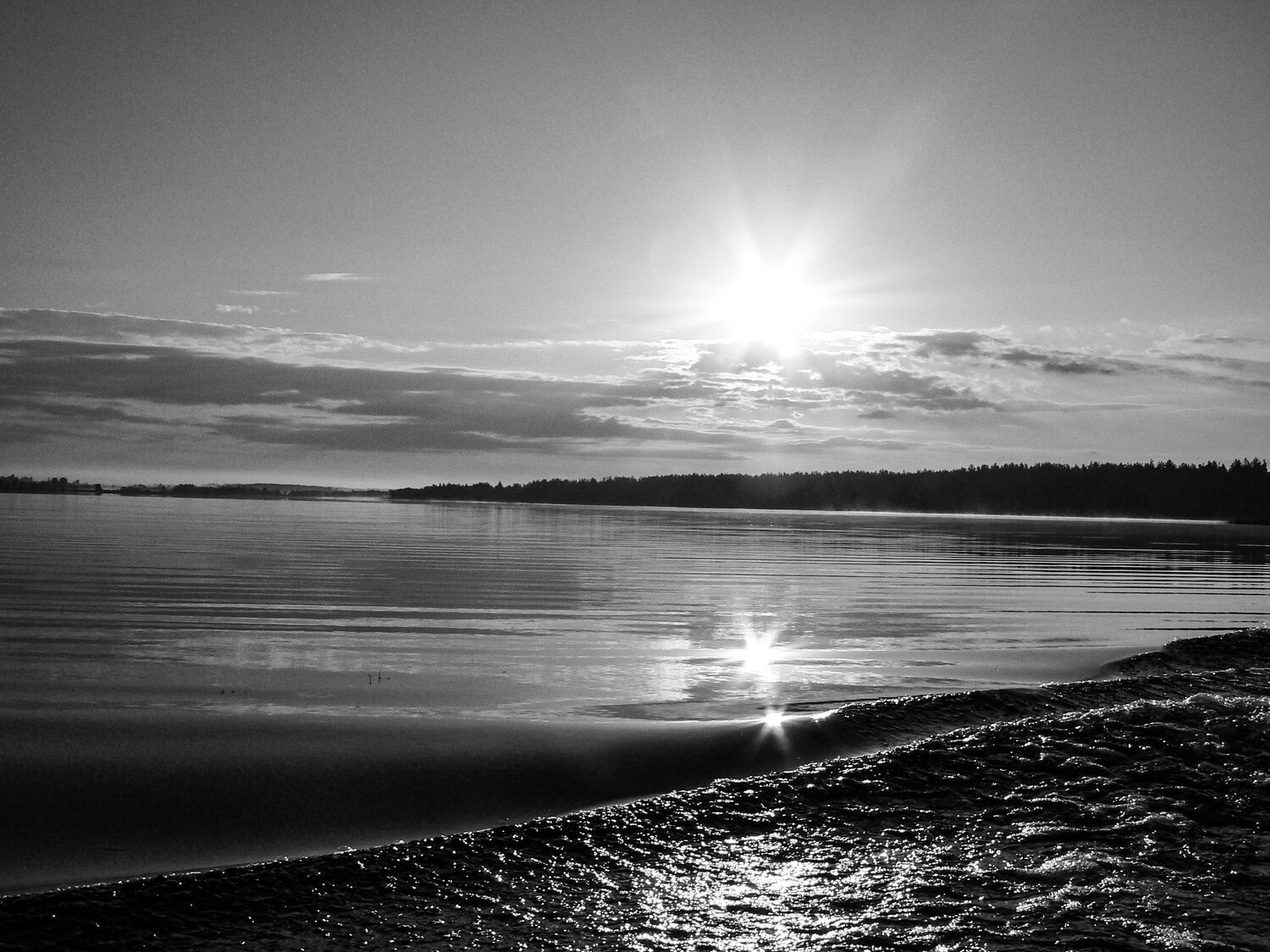Photo #7725412