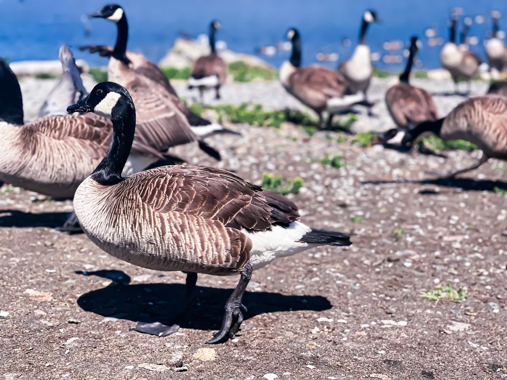 Photograph by Natalia Everatt