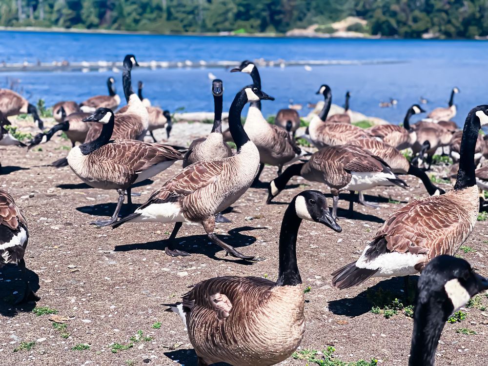 Photograph by Natalia Everatt