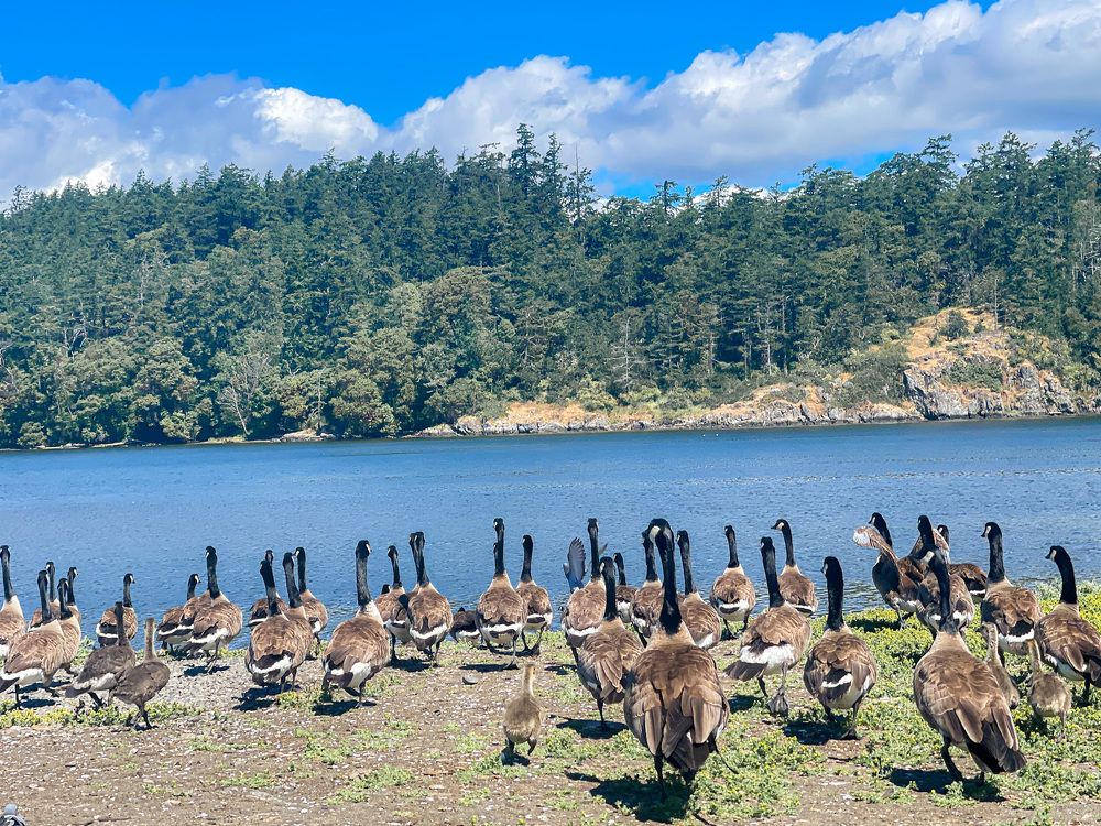 Photograph by Natalia Everatt