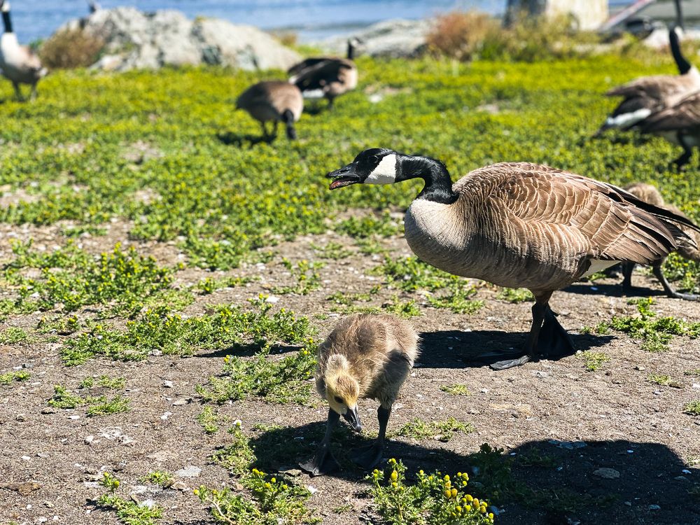 Photograph by Natalia Everatt