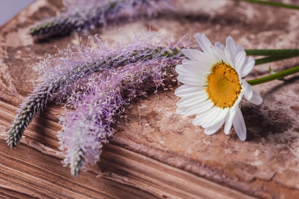 Photograph by Оксана Корчагина