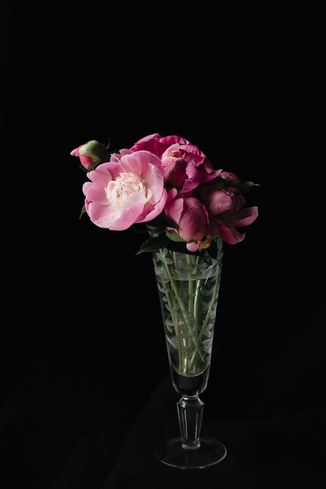 Photograph by Оксана Корчагина