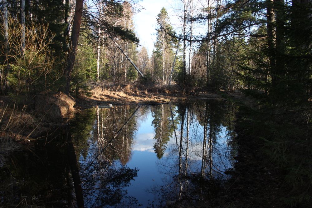 Photograph by Махлай Наталья