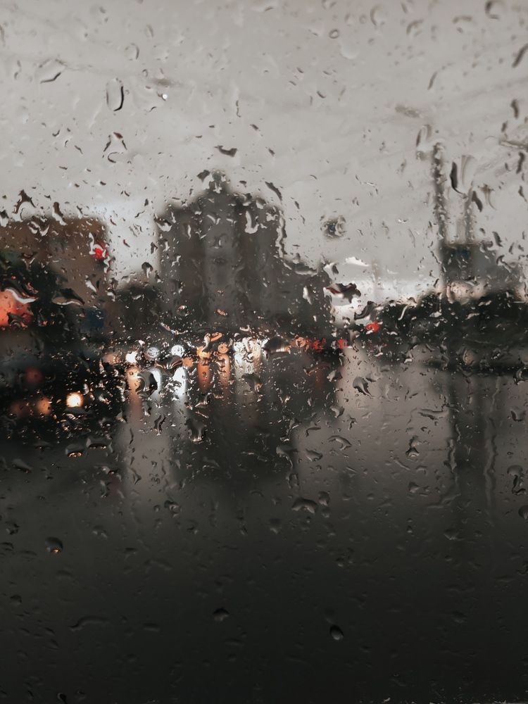 Дорога домой