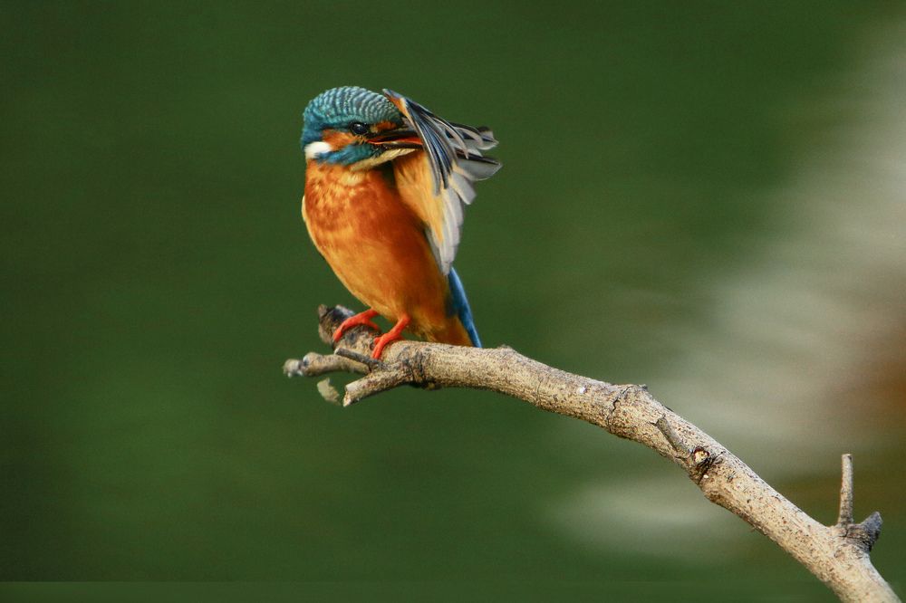 Photograph by Tun lin soe