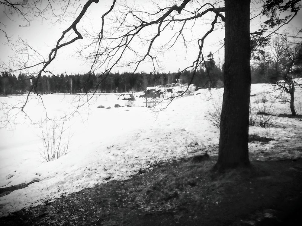 Photograph by Irina Mihailovskaya