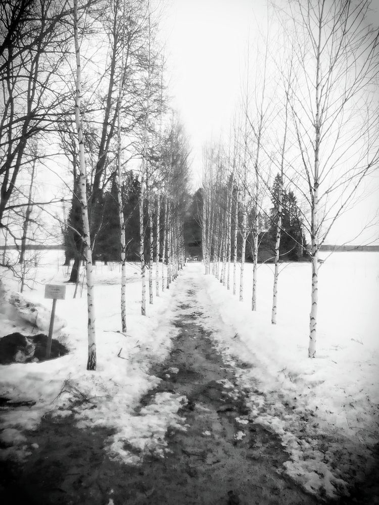 Photograph by Irina Mihailovskaya