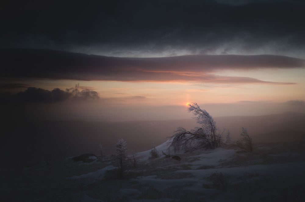 Photograph by Илья Толстоноженко