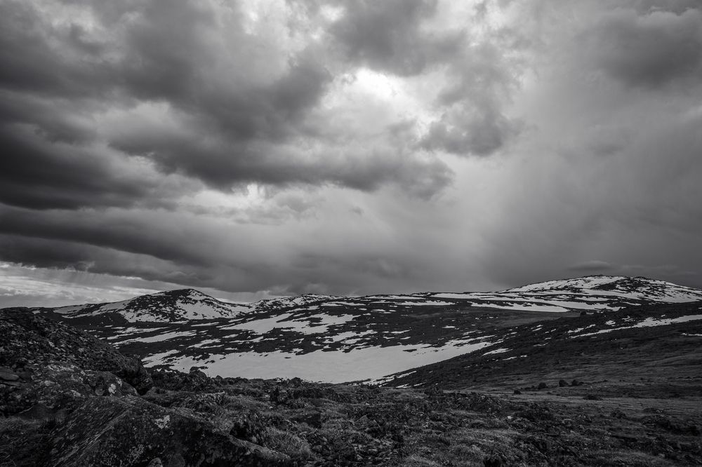 Photograph by Людмила Зяблова