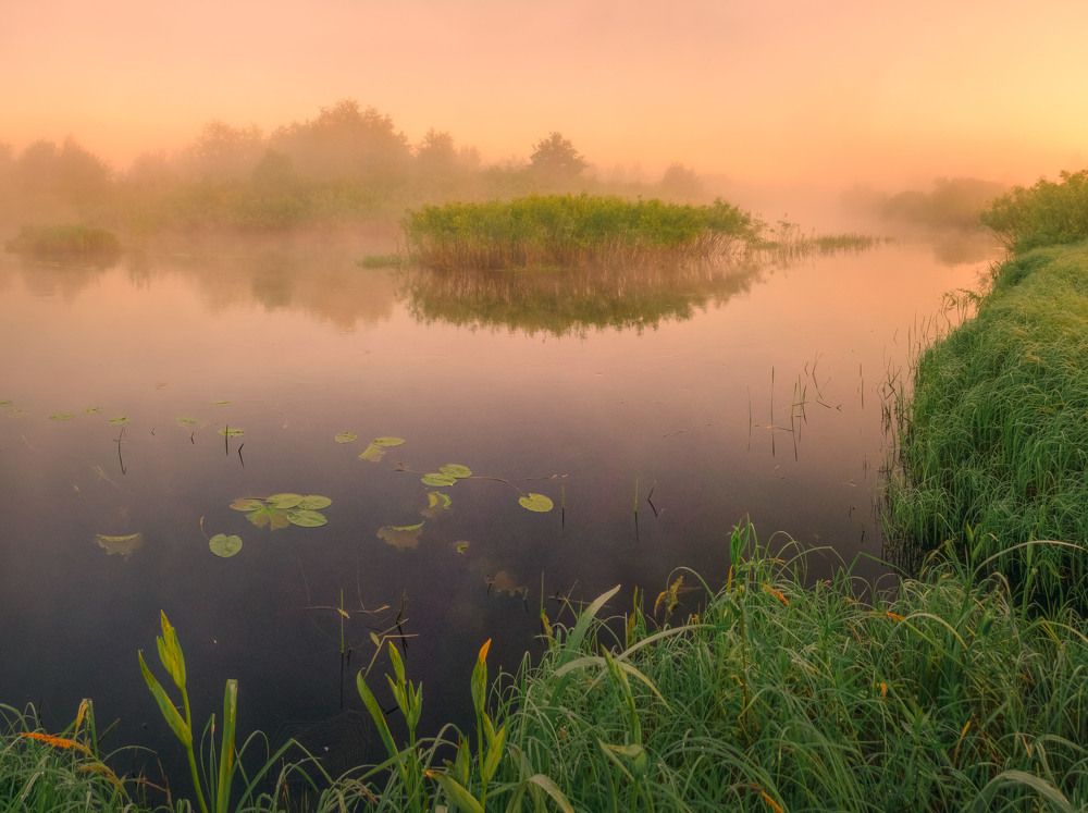 Photograph by Игорь Жданович