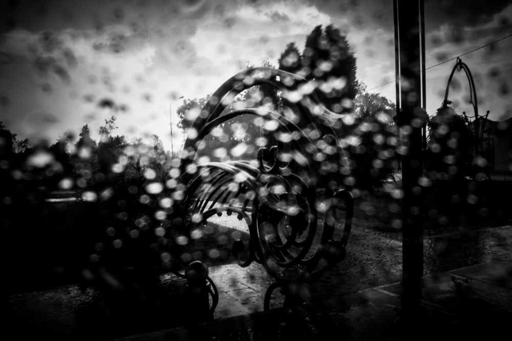 Фотография автора OXANA MARSOVA